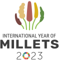 medium_millets 2023 inte1rnational.png