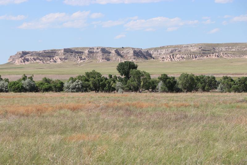 a grassland pasture with trees and rocky ridge in background