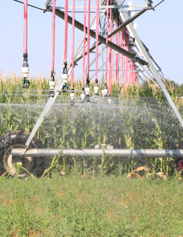 irrigation pivot watering cover crop and corn crop