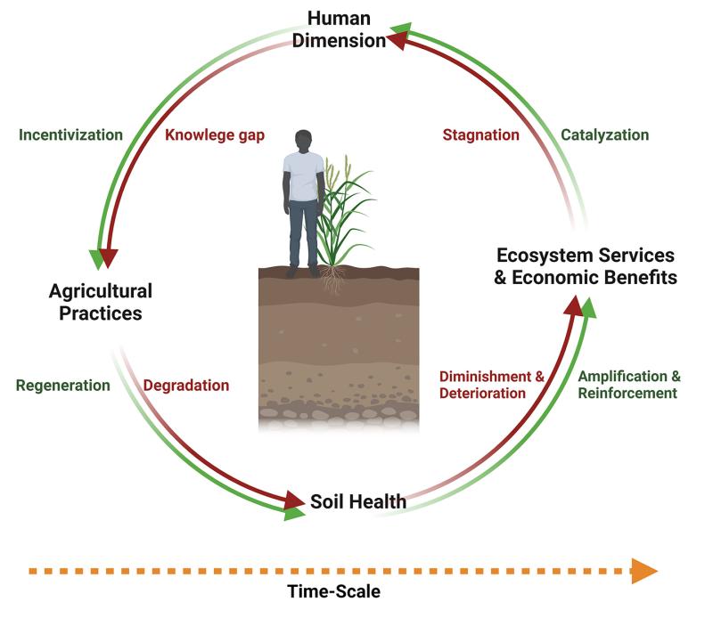 UNL researchers advance Soil Health Cycle concept