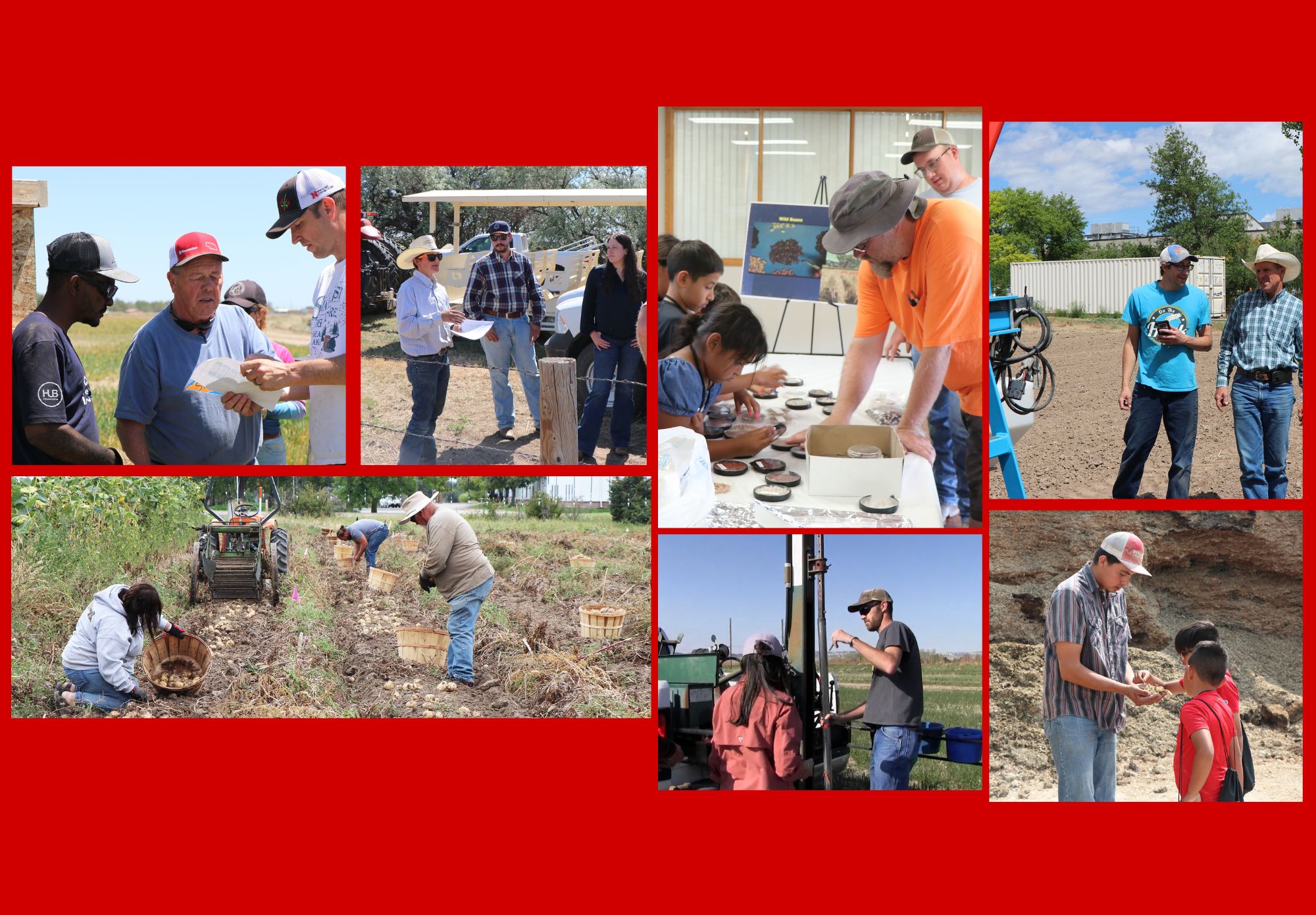 collage of techs