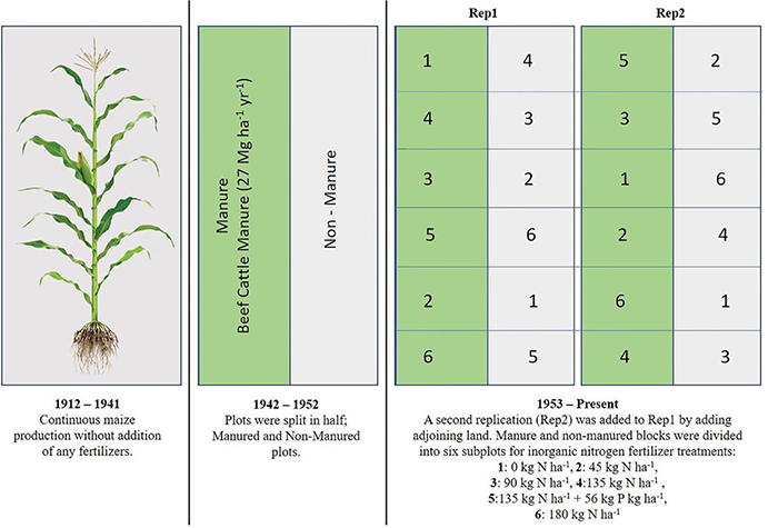 graphic of corn an soil information