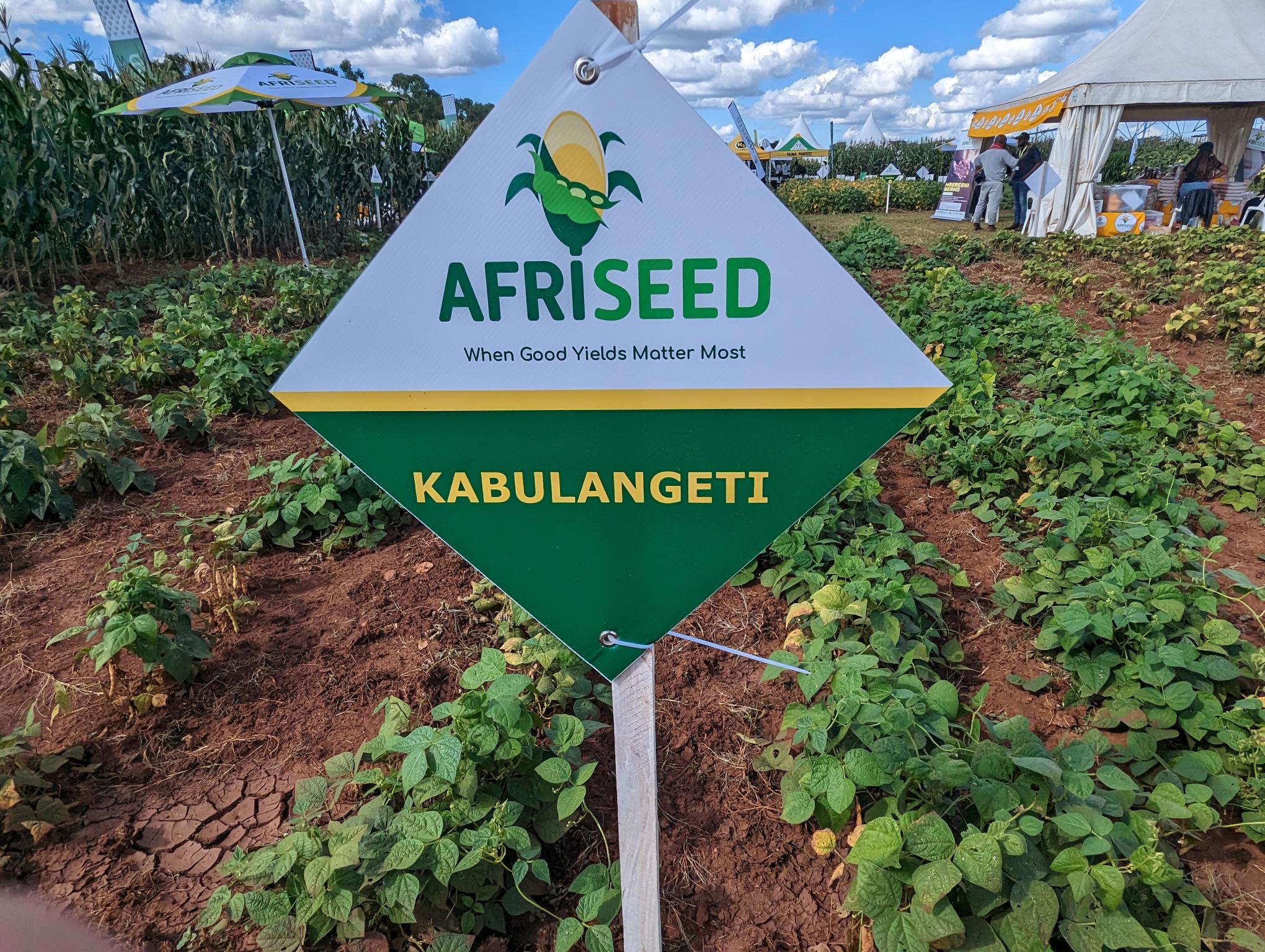 sign for bean varieties