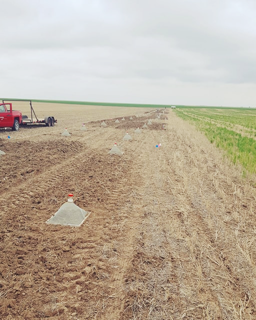 field with tractor