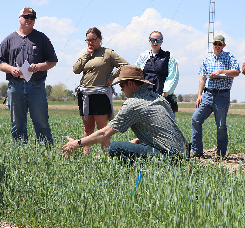 man in field of grass talks to group