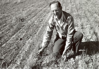 man kneeling in wheat field