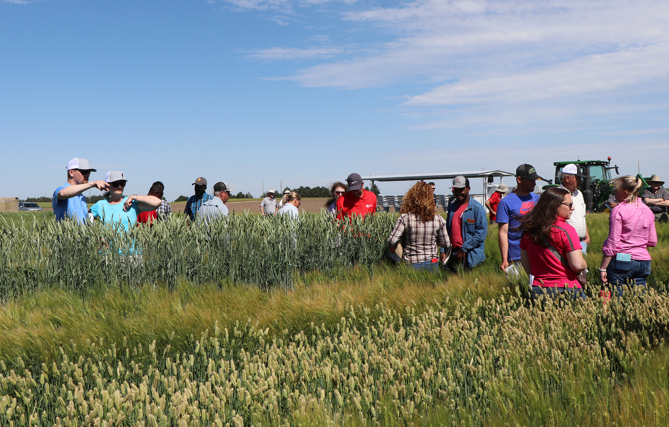 crowd of people in wheat and barley field talking about crops