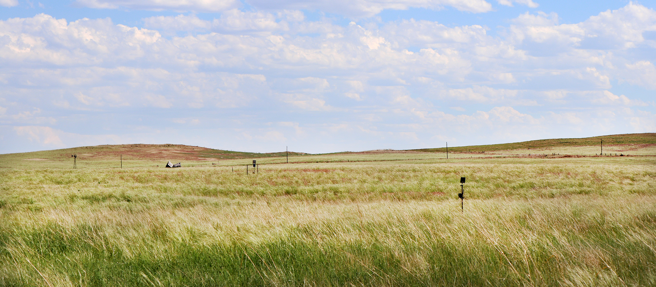 rangeland pasture with blue sky and white clouds