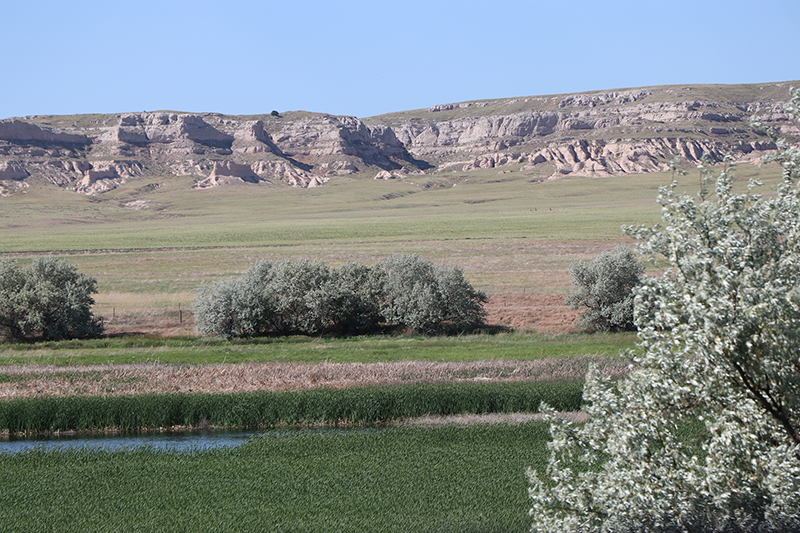 lake in pasture with a bluff ridge in background