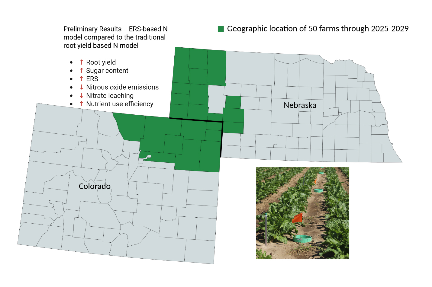 sugar beet study graph