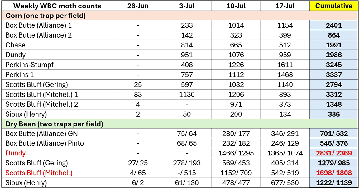 Weekly moth count data table for corn and dry bean fields, June-July, with cumulative totals highlighted.