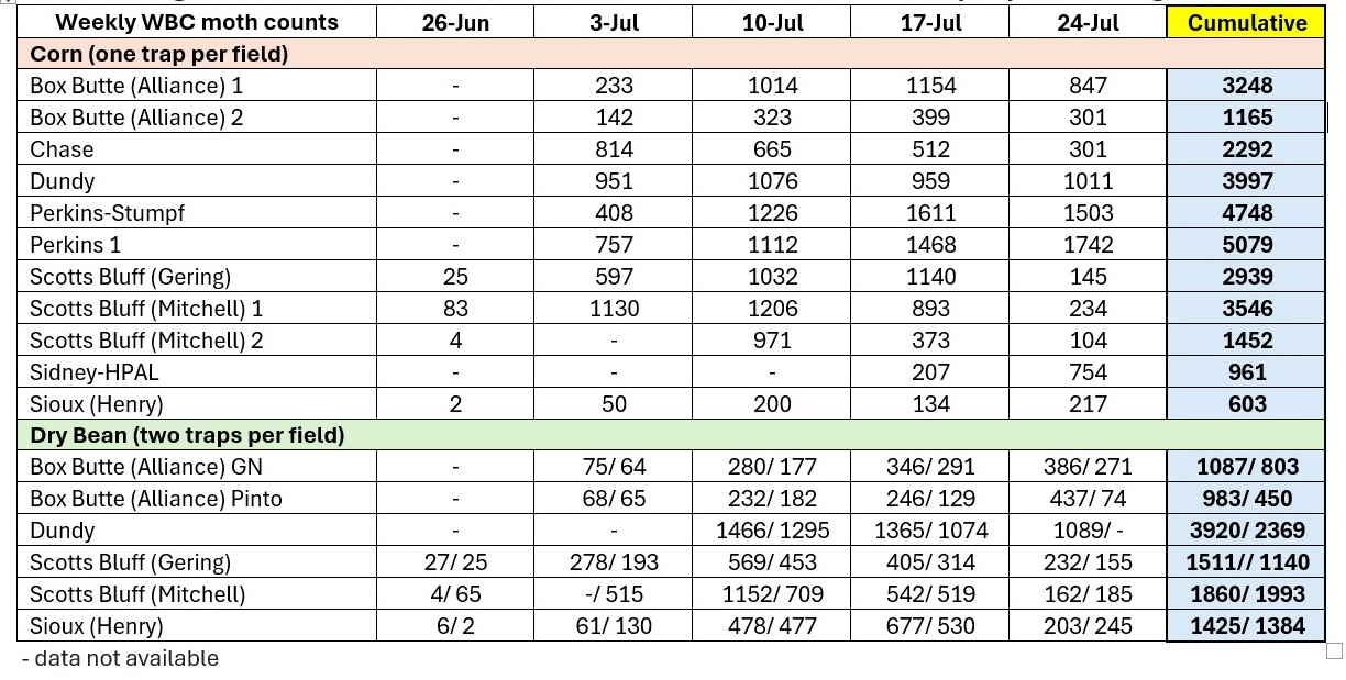 Weekly Western Bean Cutworm moth counts table for corn and dry bean fields across multiple locations.