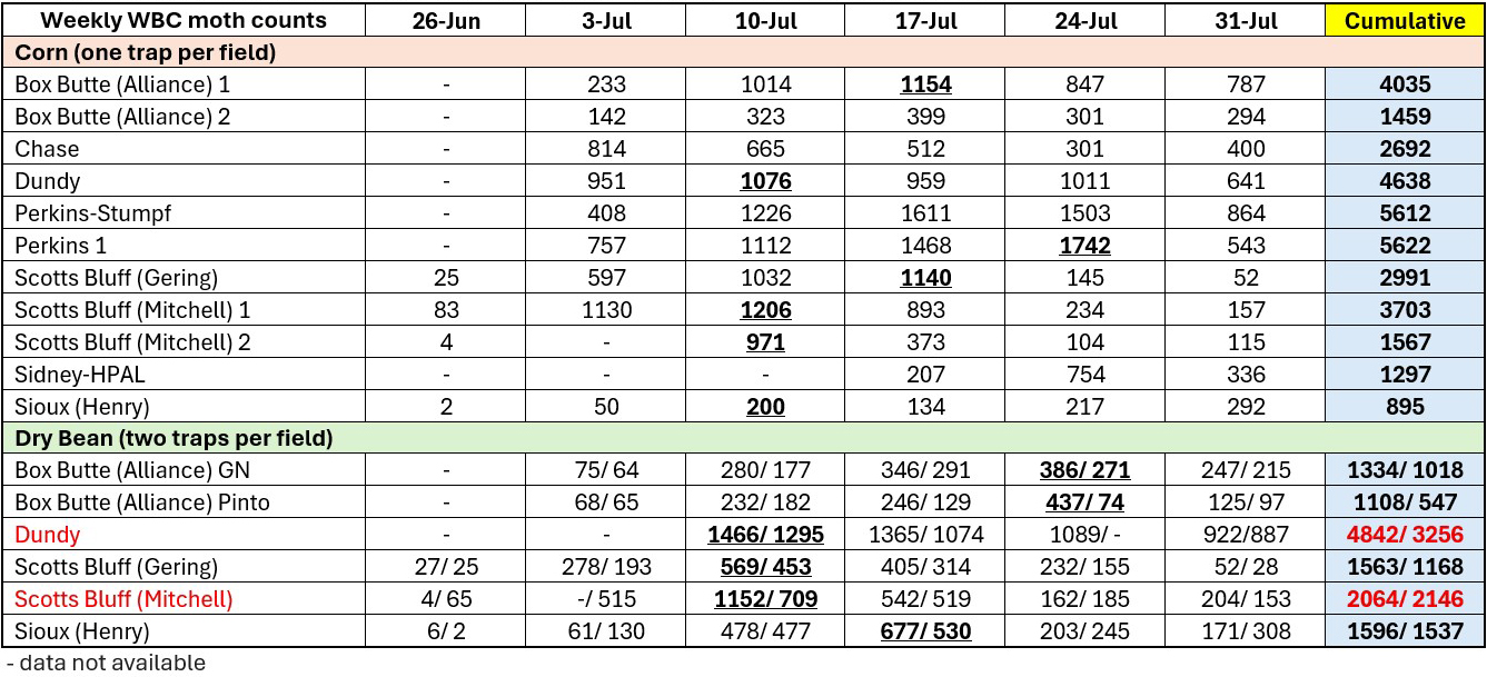 Weekly counts of Western Bean Cutworm moths in corn and dry bean fields, tabulated by location and trap type.