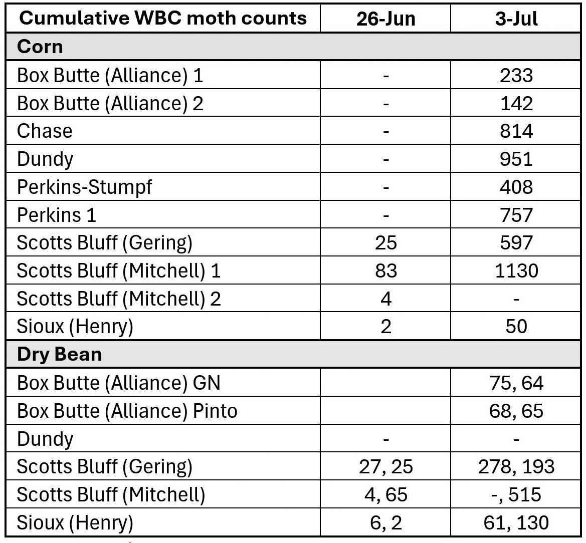 Cumulative WBC moth counts table for corn and dry bean from June 26 to July 3 across various locations.