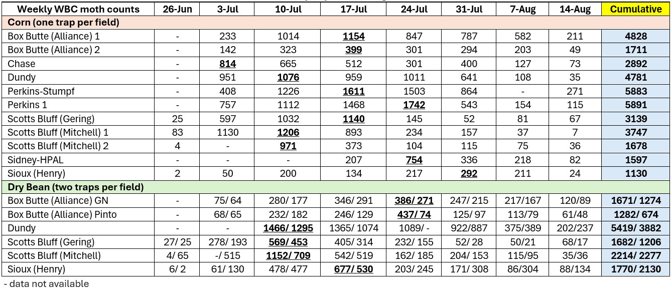 Weekly table of WBC moth counts for corn and dry beans by location, date, and cumulative totals.