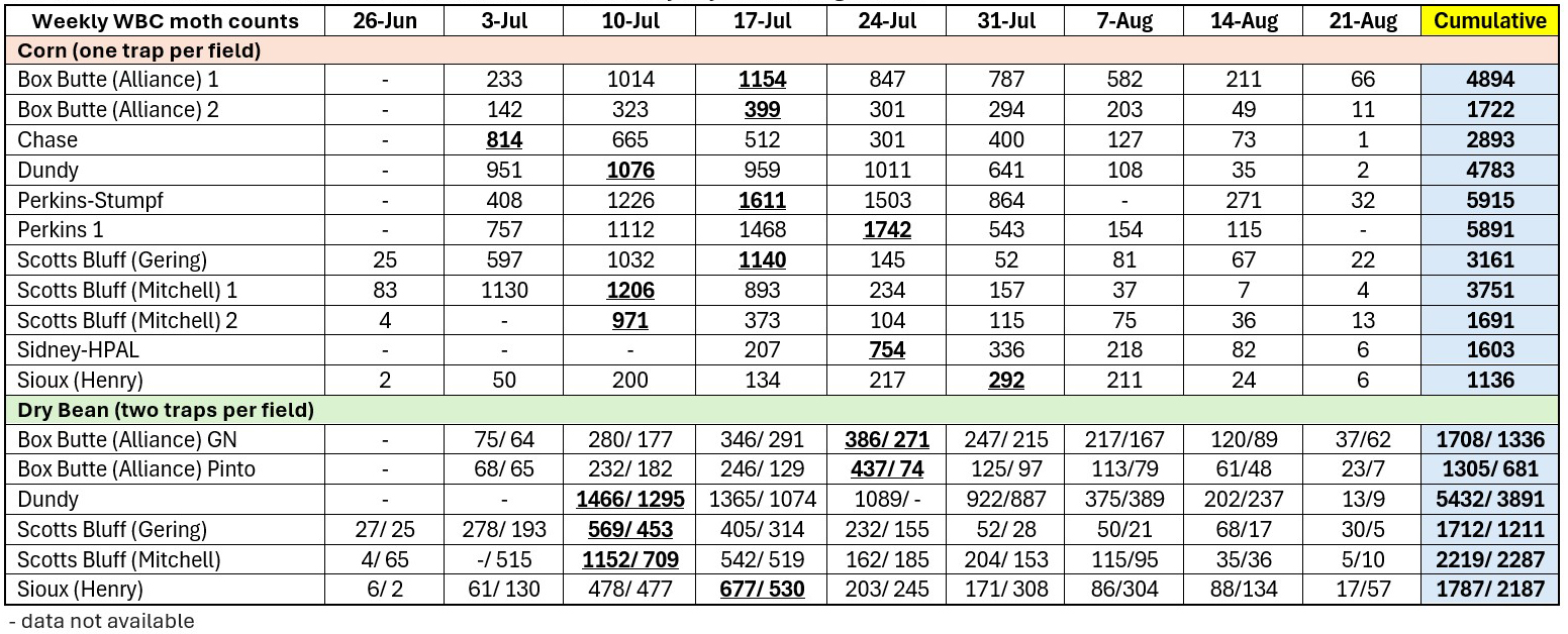 Weekly WBC moth and dry bean trap count table with columns by date and cumulative totals.