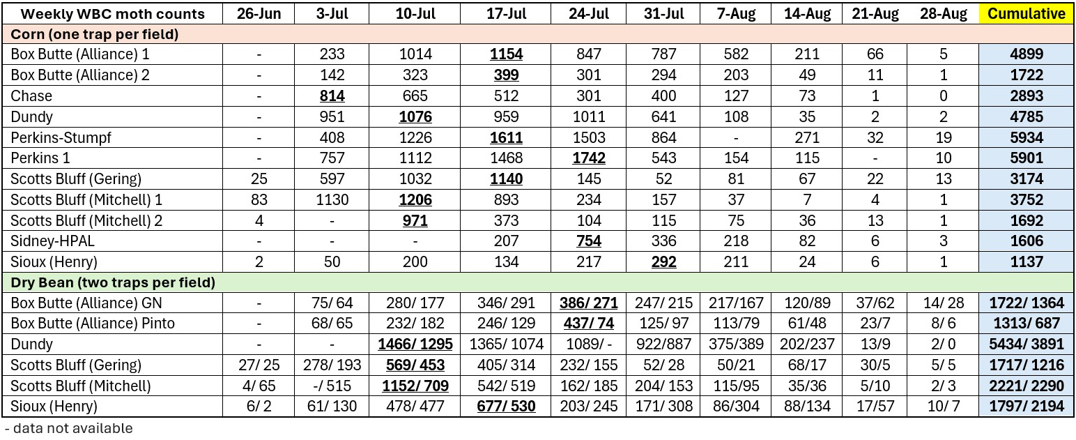Weekly WBC moth counts table for corn and dry bean fields with cumulative totals.