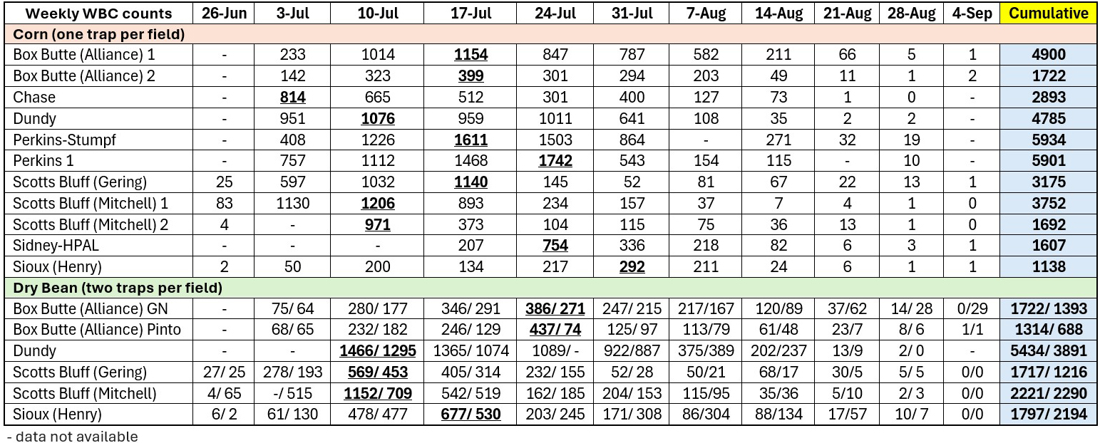 Weekly WBC counts table with data for corn and dry beans across various fields and dates.