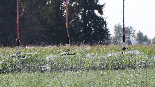 irrigation pivot delivering water to field