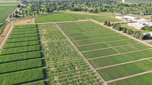 aerial view of PREEC