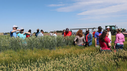 crowd of people in wheat and barley field talking about crops