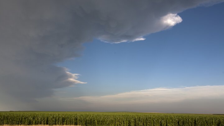 corn with clouds