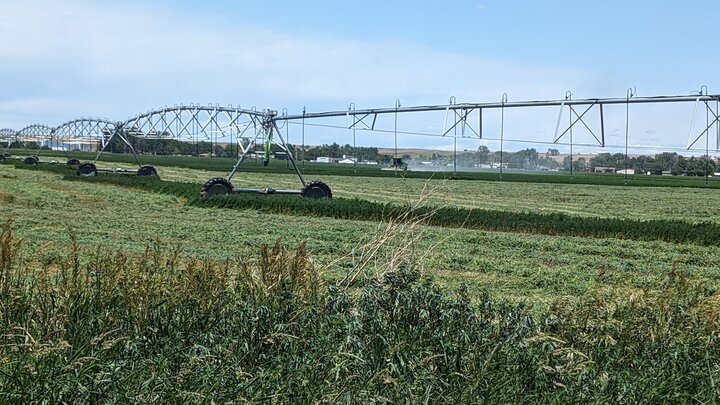 hay field with pivot