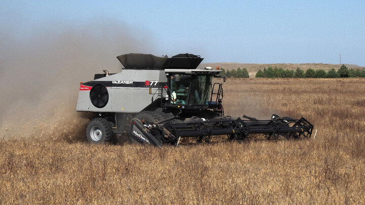 Combine in bean field