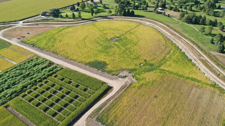 aerial view of cropland