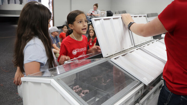 elementary students ask question