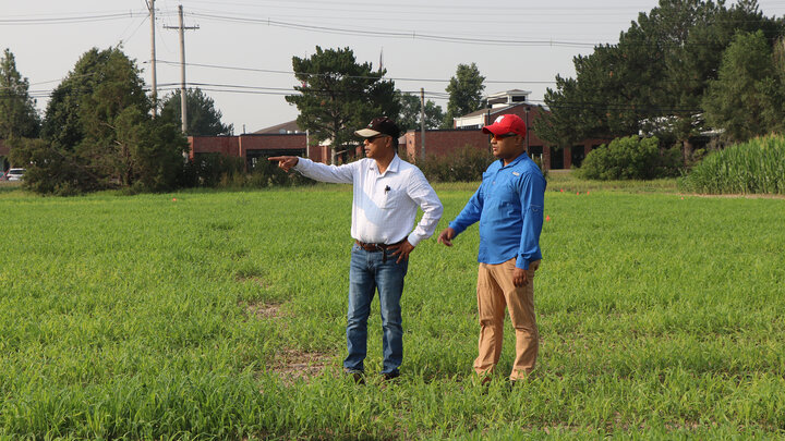 two men stand in a small plot millet field 