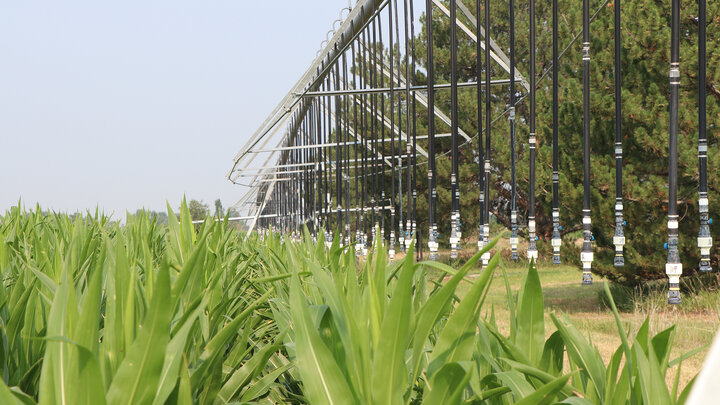 pivot and corn