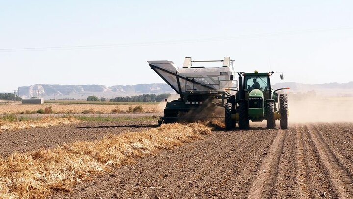 tractor harvesting dry bean rows