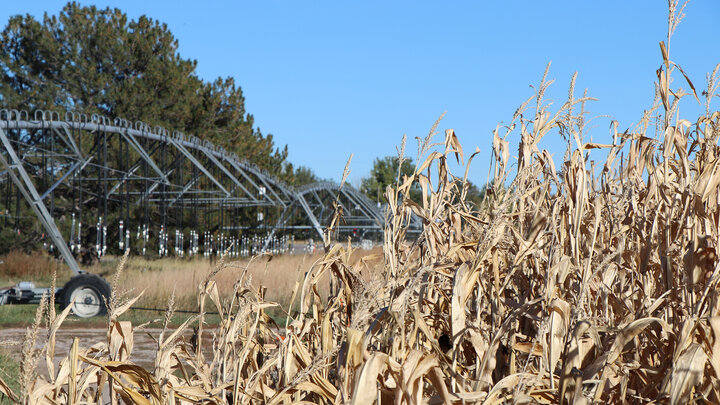 drying cornstalks in field with pivot at one end