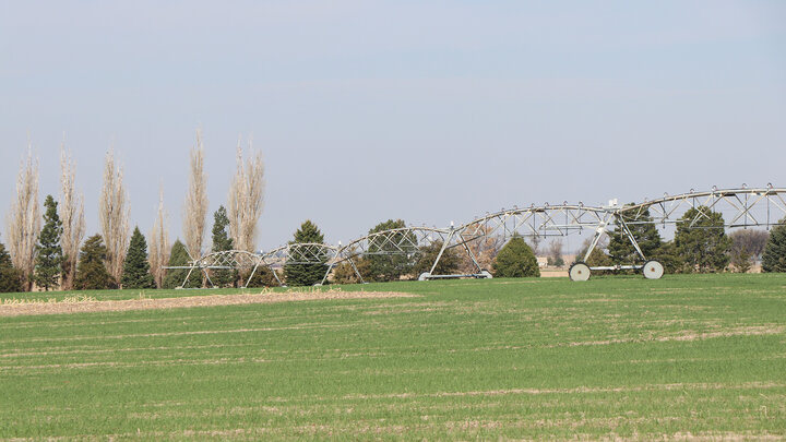 field with pivot and trees