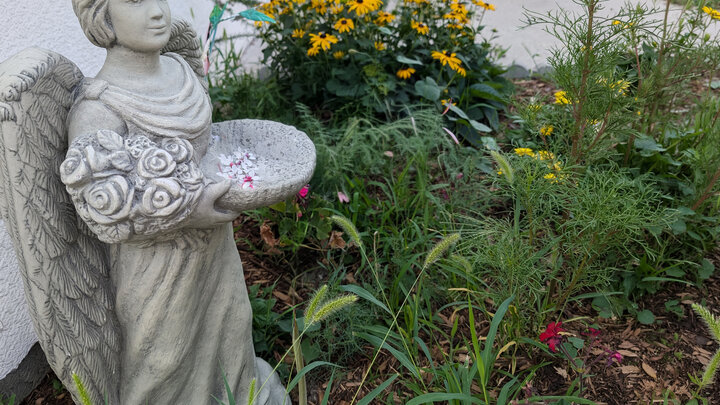 Stone angel statue holding flowers and a bowl, surrounded by colorful garden plants and flowers.