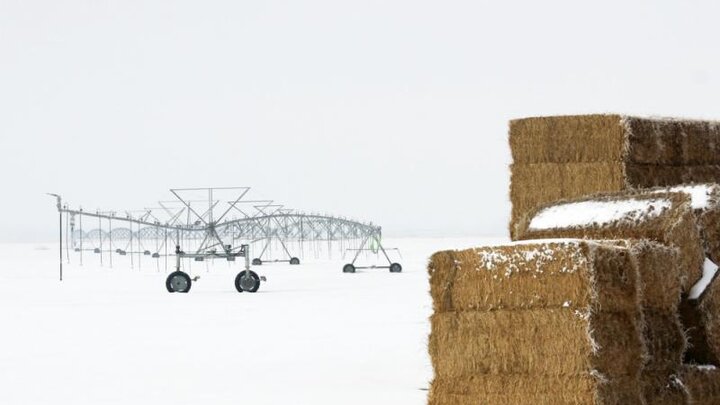 hay bales in snow with pivot in background