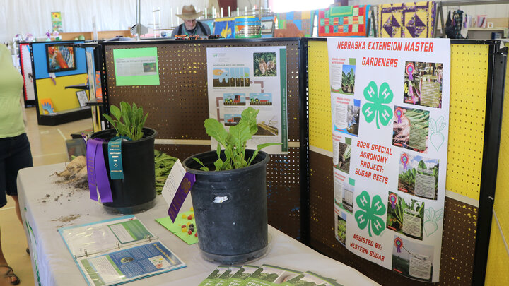 Table with plants, brochures, and a Nebraska Extension Master Gardeners display board indoors.