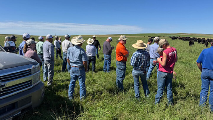 livestock producers in rangeland setting watch cattle 