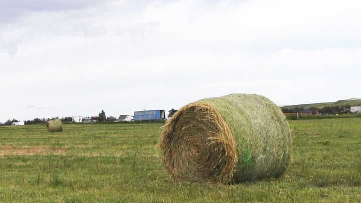 round hay bale in field