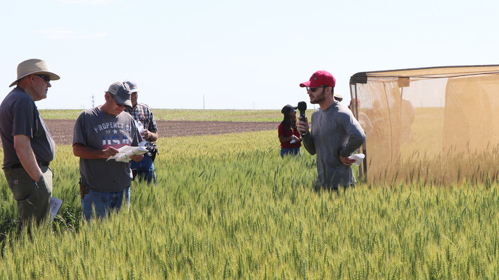 man holds discussion in wheat field