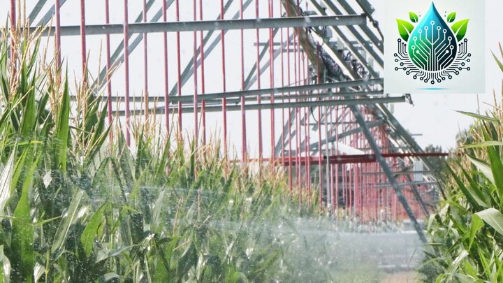 a corn field with irrigation pivot spraying water on corn. Logo for ACREE app is in right hand corner
