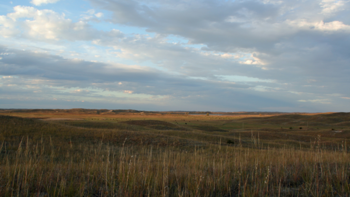 dark clouds over rangeland