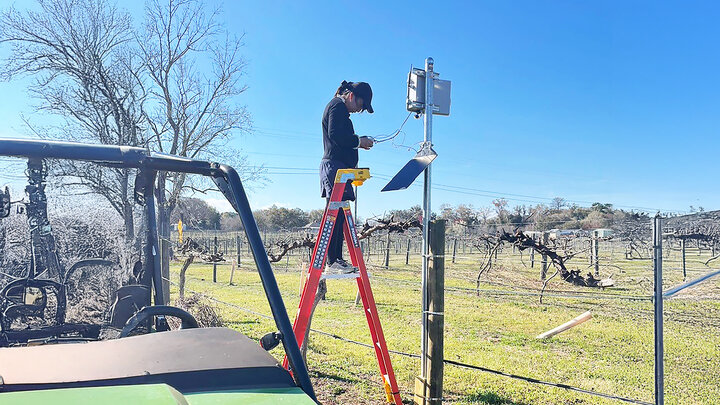 woman on ladder setting data to solar panel