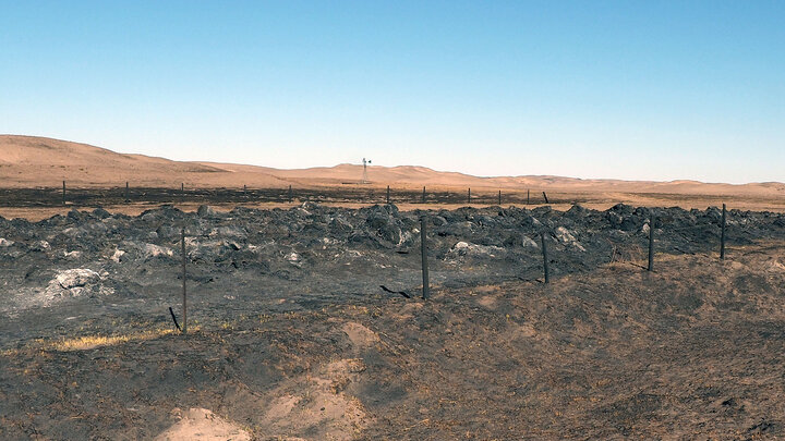 burned grassland with low hills in background