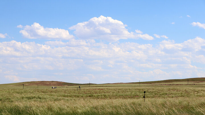 grassland and blue sky with white clouds