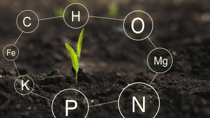 nutrient chart overlayed on soil and plant