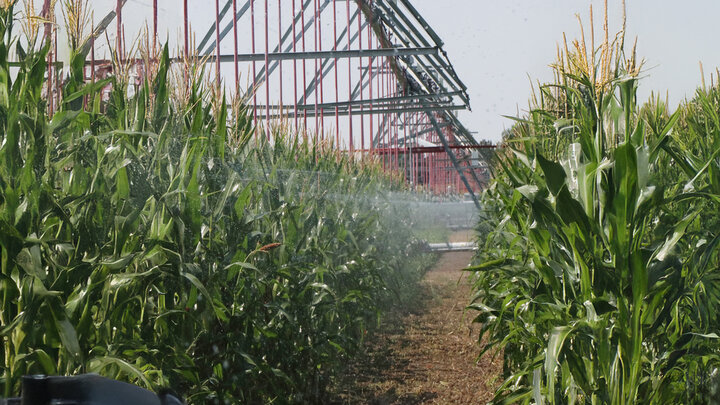 pivot irrigating corn field