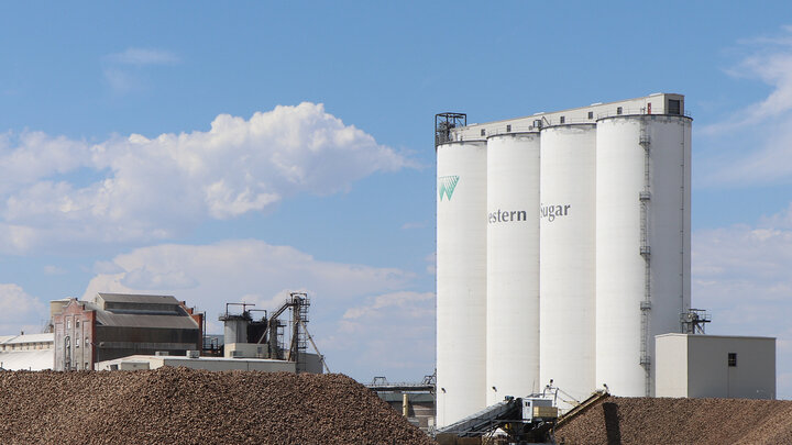 sugar factory with beets piled in front 