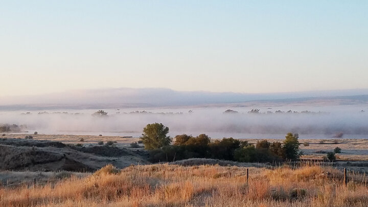 fog on landscape